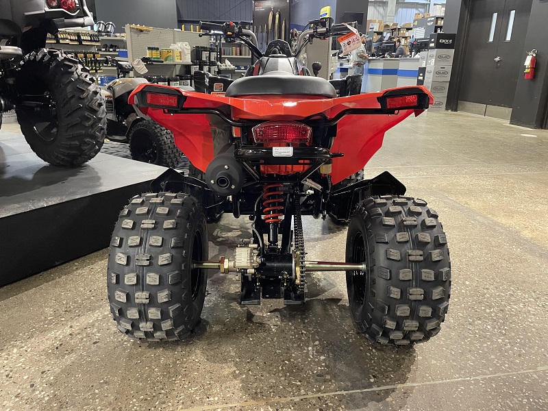 ATV & Utility Vehicles  2025 CAN-AM DS250 YOUTH ATV Photo
