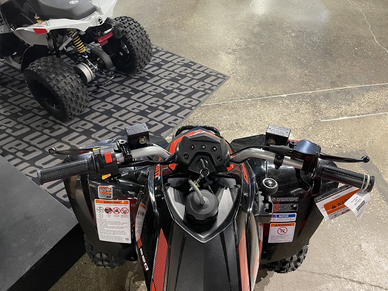 ATV & Utility Vehicles  2025 CAN-AM DS250 YOUTH ATV Photo