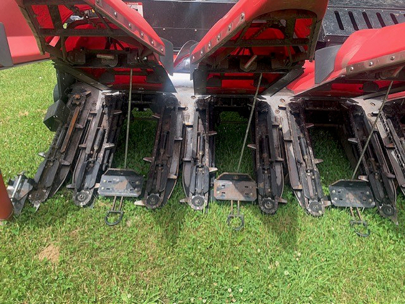 2011 AGCO CHALLENGER 670B COMBINE WITH MF 3000-8R CORN HEAD