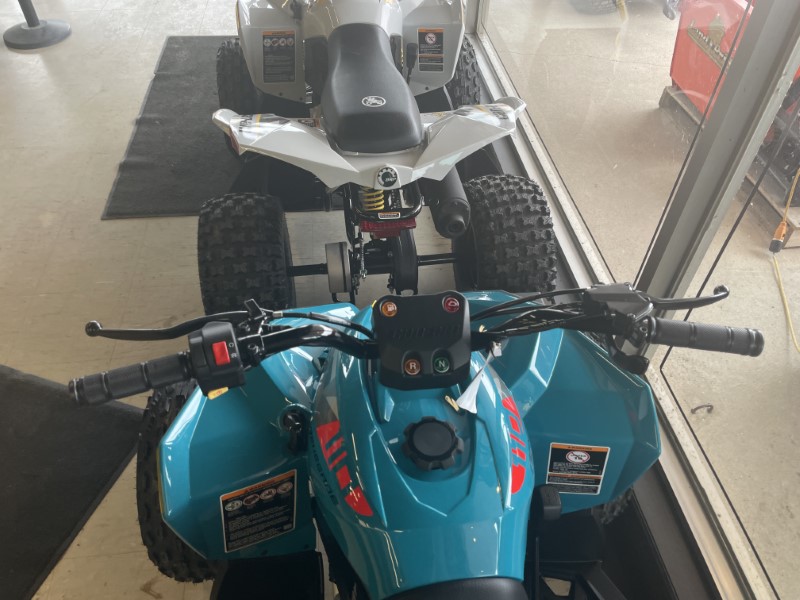 ATV & Utility Vehicles  2026 CAN-AM RENEGADE 110 EFI YOUTH ATV Photo
