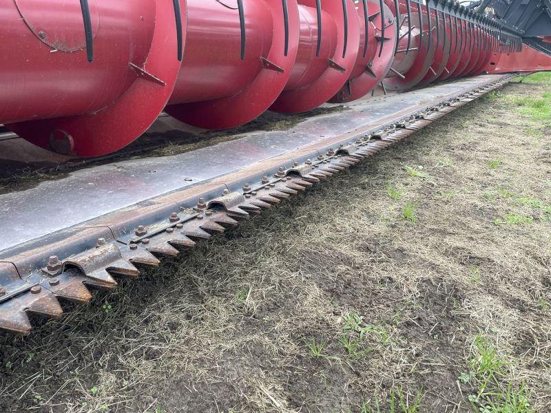 2010 CASE IH 2020-30F FLEX HEADER WITH CART