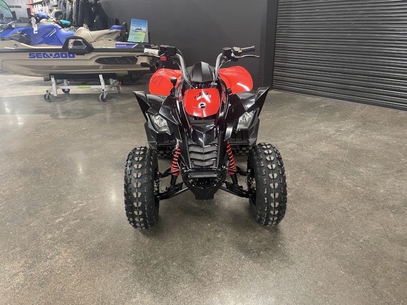 ATV  2026 CAN-AM DS250 YOUTH ATV Photo