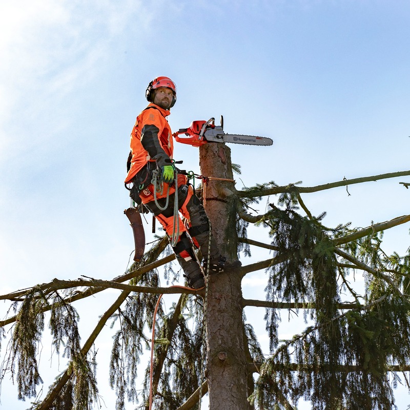 Landscape and Snow Removal  Husqvarna 18" 545 II 50.1cc Professional Chainsaw Photo