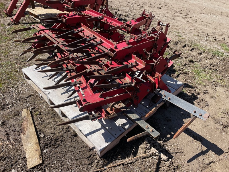 Tillage - Harrow  30 Feet of Spike Tooth Harrows (Bolt On) Photo
