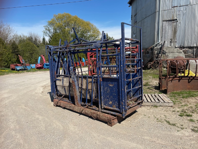 Cattle Squeeze Chute with Panels