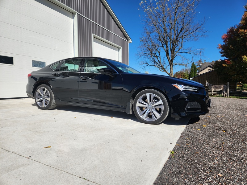 Cars, Trucks, and Vans  2021 Acura TLX Sedan Photo