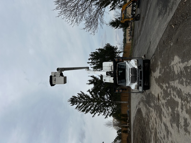 International Aerial bucket truck for sale 