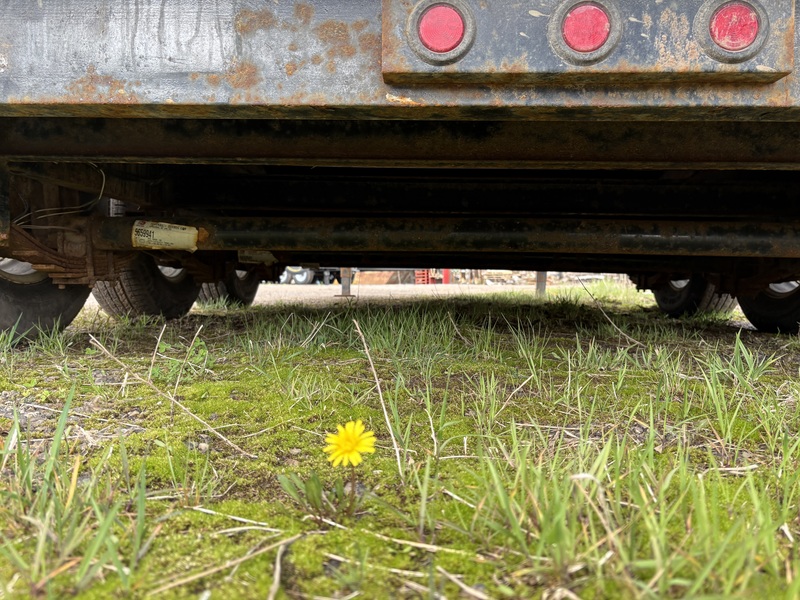 Cargo, Utility Trailers  2022 Miska 10 Ton Gooseneck Dump Trailer Photo